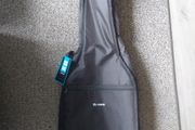 Professional Acoustic Guitar Case