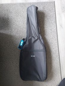 Professional Acoustic Guitar Case