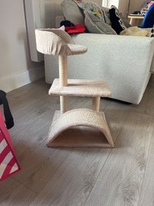 cat scratching tree