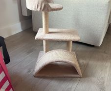 cat scratching tree