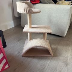 cat scratching tree