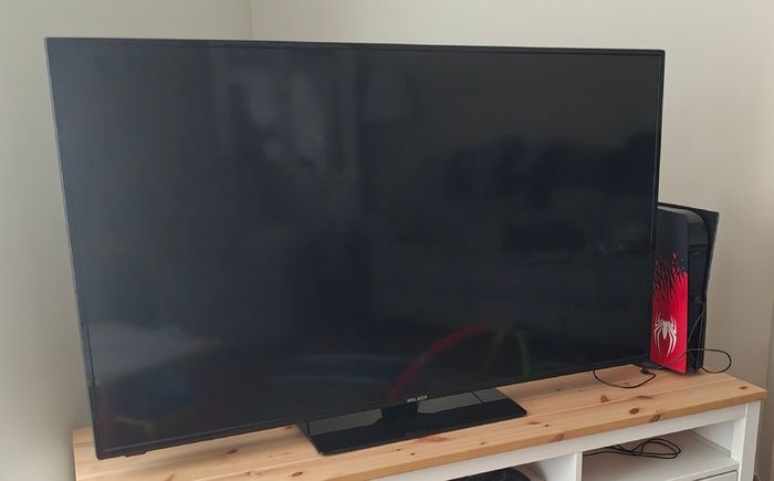 55 inch Walker TV with remote