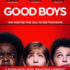 Good Boys (DVD)