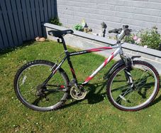 Adult's Bike