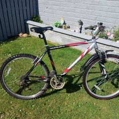 Adult's Bike
