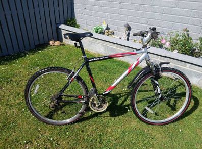 Adult's Bike