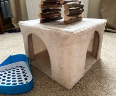 Small pet accessories.