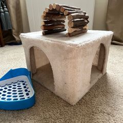 Small pet accessories.