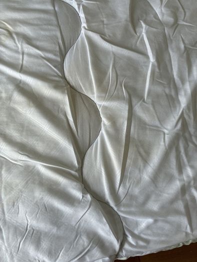 Dunnes Duvet and Pillow (Single bed)
