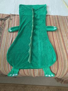 Sleeping bag insert or couch cosy