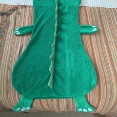 Sleeping bag insert or couch cosy