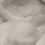 Polyester Filling Image 2