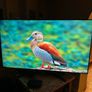 75" Lg Tv Image 7