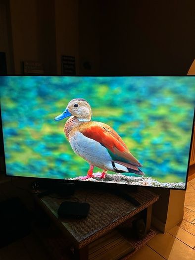 75" Lg Tv