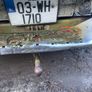 Toyota dyna and Hilux parts Image 5