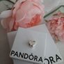 New genuine pandora best friend charm Image 5