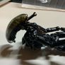 52TOYS BeastBox alien Xenomorph Image 9