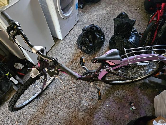 20" girls bike