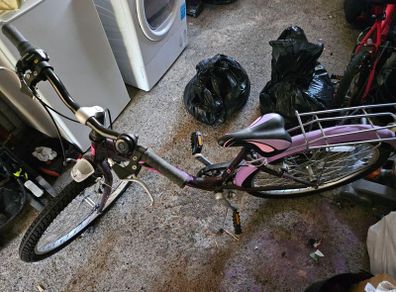 20" girls bike
