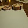 Petrified wood slices Image 6