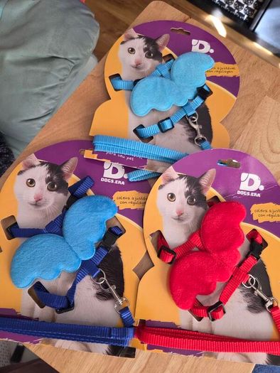 Cat Harness & Leash Angel Wings Harness