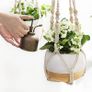 3 Pack Macrame Plant Hangers Indoor Hanging Planter Basket Flower Pot Holder Cotton Rope with Beads No Tassels, 58cm/73cm/89cm Image 5