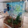 ciano aqua 30 aquarium 25l Image 2