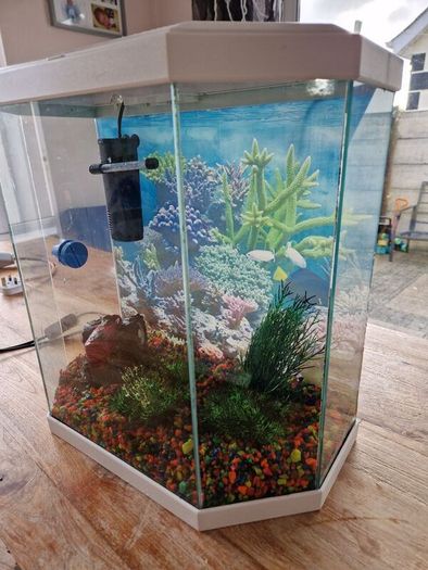 ciano aqua 30 aquarium 25l