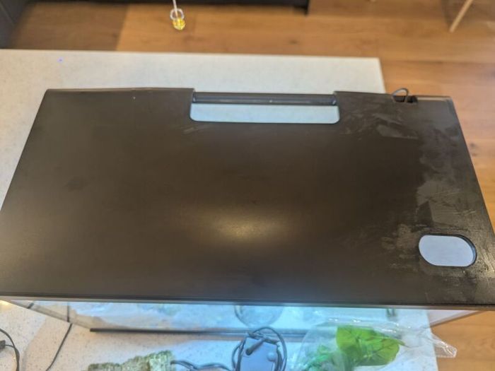 Fish tank and accessories