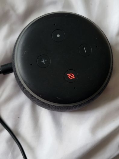 Amazon Echo Dot
