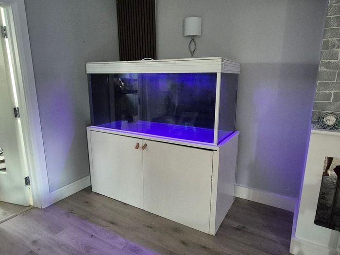 Fish tank