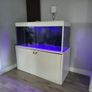 Fish tank Image 3