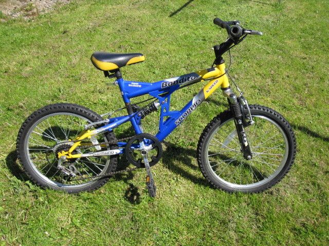 Childs Bike