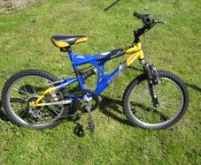 Childs Bike