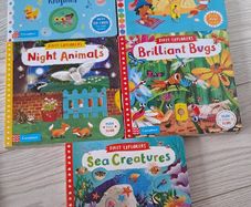 Push, pull slide toddler books