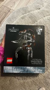 lego 75381