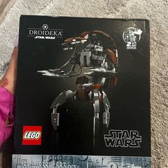 lego 75381