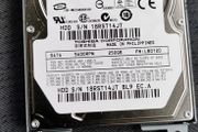 Hard Drive 250Gb Sata