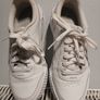 puma Image 2