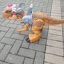 toy Image 7