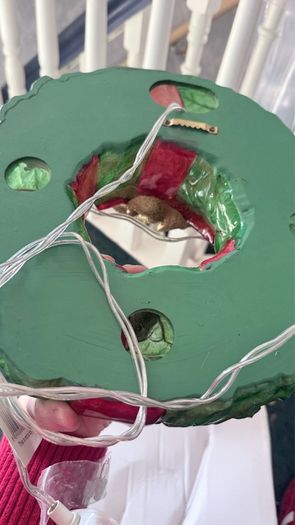 Christmas Light up Wreath