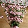 Beautiful 14 X 86cm Large Long Wired Cherry Blossom Artificial Flowers (Bendable) Image 5