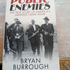 public enemies Bryan Burrough