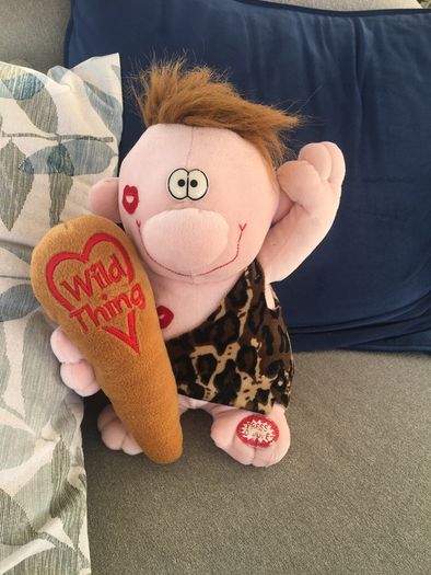Wild thing soft toy.
