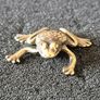 3 brass Animals,. Solid brass. Image 5