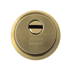 Tesa E800 Coat Of Arms Anti-Theft Protection lock LPD