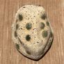 Rustic Ceramic Frog / Toad Image 6