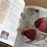 Recipes from Around the World bundle Image 6
