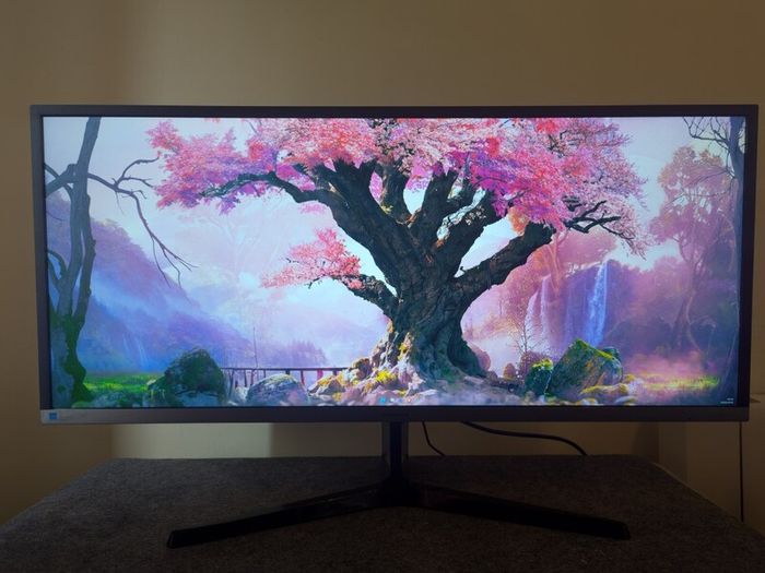 Samsung 34 inch Ultrawide Monitor