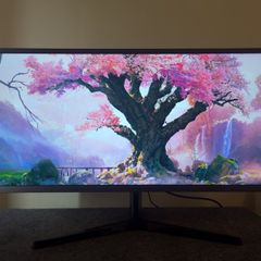 Samsung 34 inch Ultrawide Monitor
